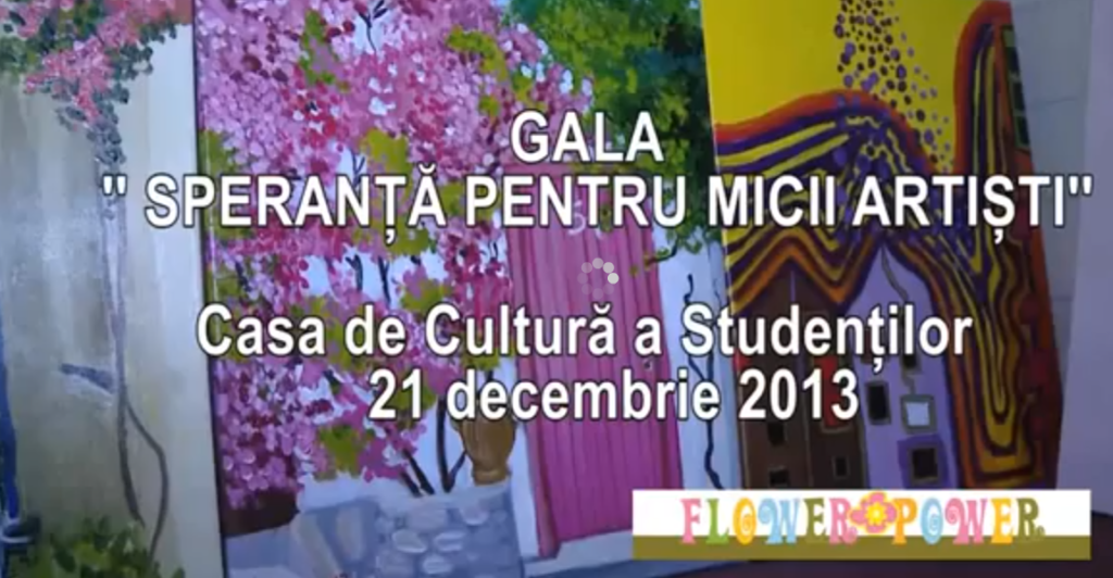 Asociatia Culturala Flower Power 1 Asociatia Culturala Flower Power - Social Accounting