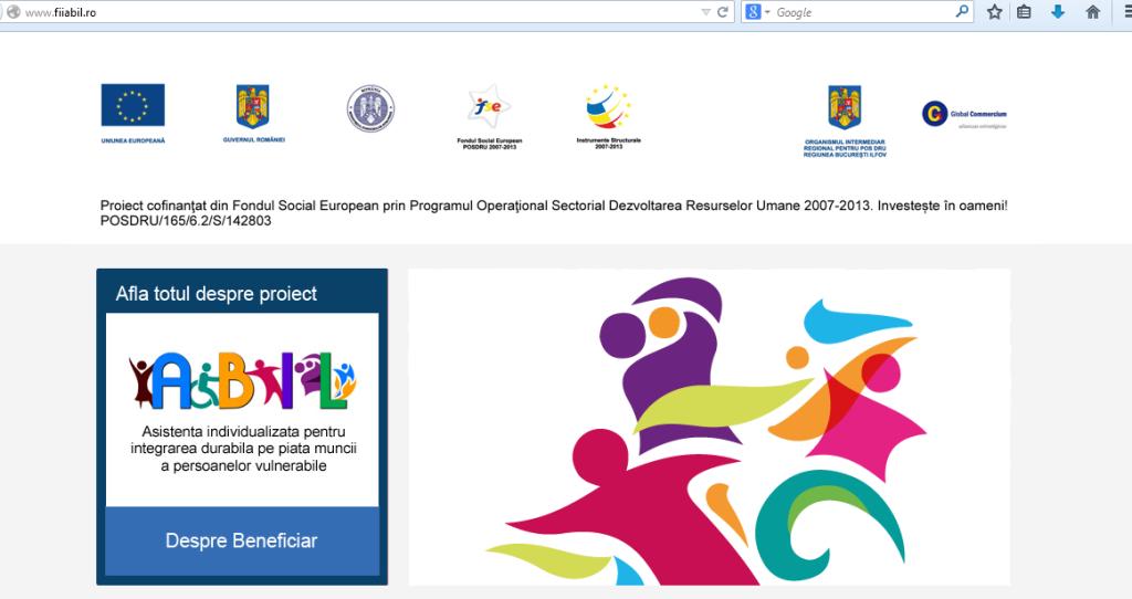 Asociatia Culturala Flower Power 4 Asociatia Culturala Flower Power - Social Accounting