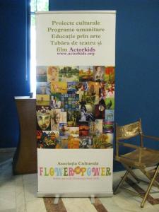 Asociatia Culturala Flower Power 5 Asociatia Culturala Flower Power - Social Accounting